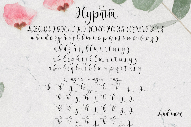 Hypatia Script By Bexxtype Thehungryjpeg Com