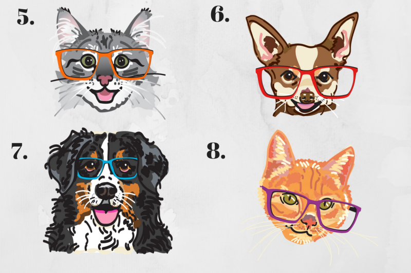 illustrated-pets-in-glasses