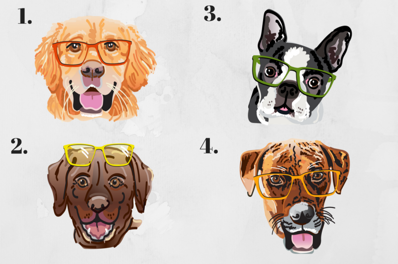 illustrated-pets-in-glasses