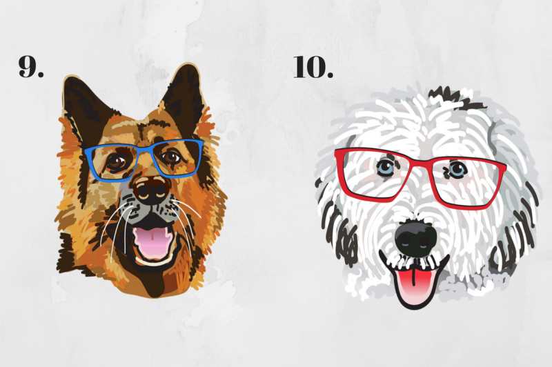 illustrated-pets-in-glasses