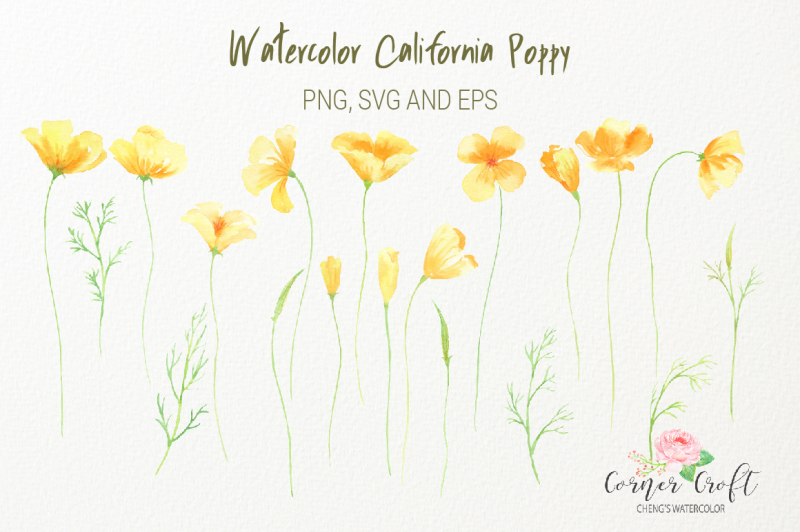 watercolor-california-poppy-png-svg-eps