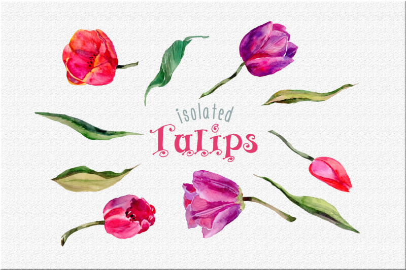 tulips-png-watercolor-flower-set