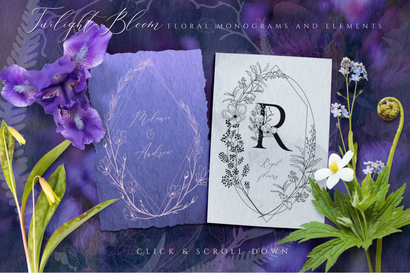 Floral Monograms & Elements By O l y a | TheHungryJPEG