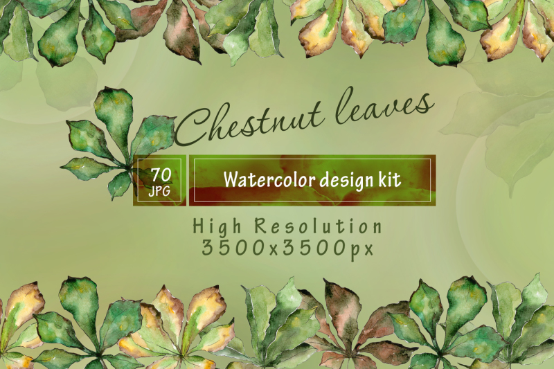 chestnut-leaves-png-watercolor-set