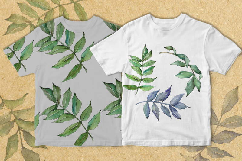 ash-leaves-png-watercolor-set