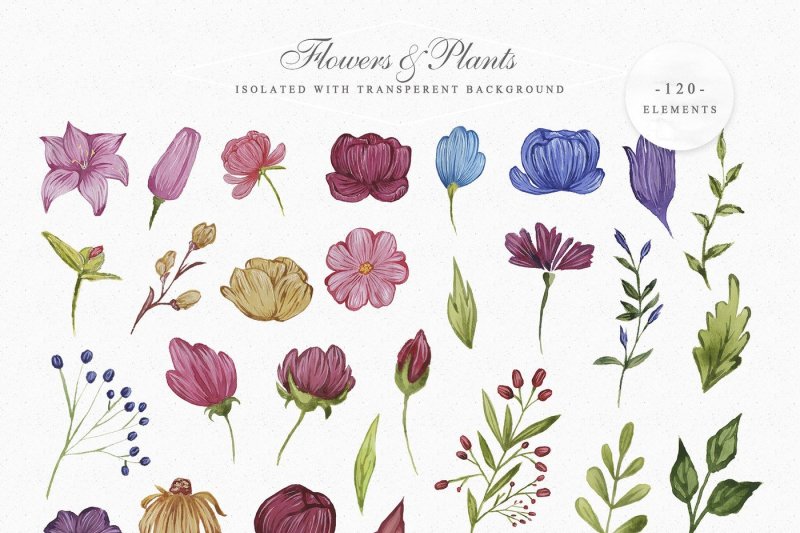 spring-garden-watercolor-collection
