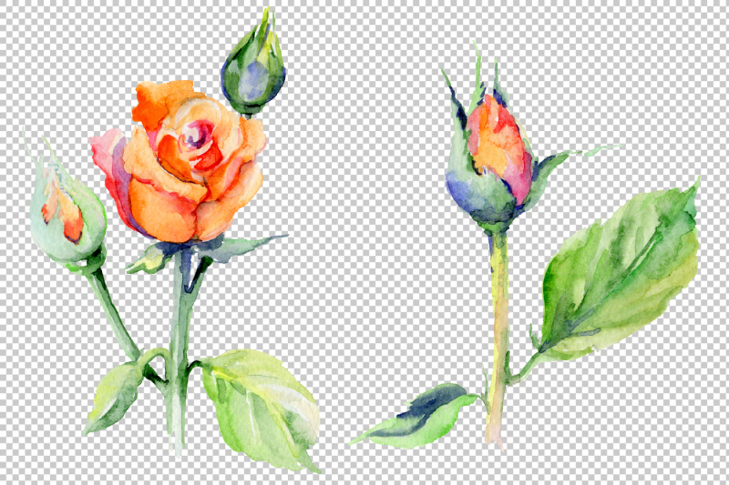 light-red-rose-png-watercolor-flower-set