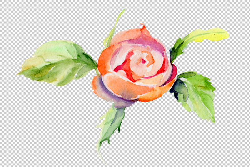 light-red-rose-png-watercolor-flower-set