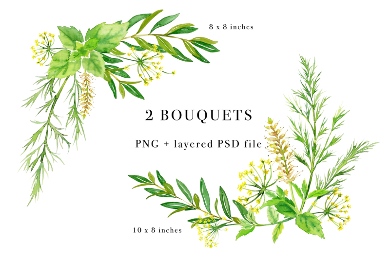 herbal-greens-watercolor-design-set