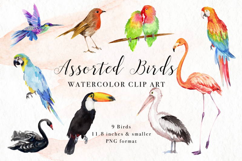 assorted-birds-watercolor-clip-art