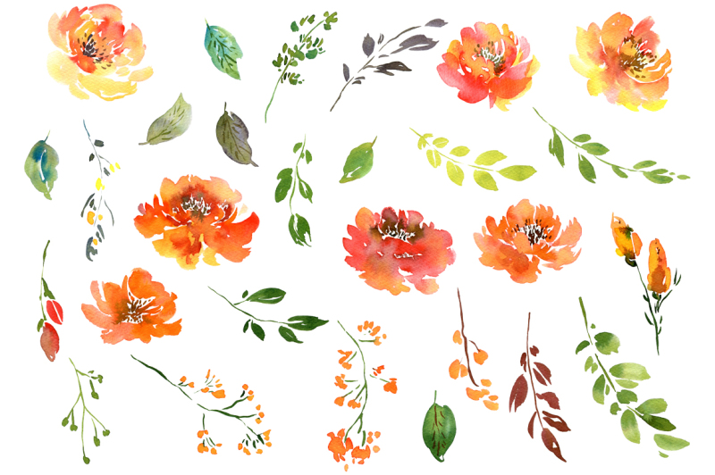 summer-orange-watercolor-flowers-png