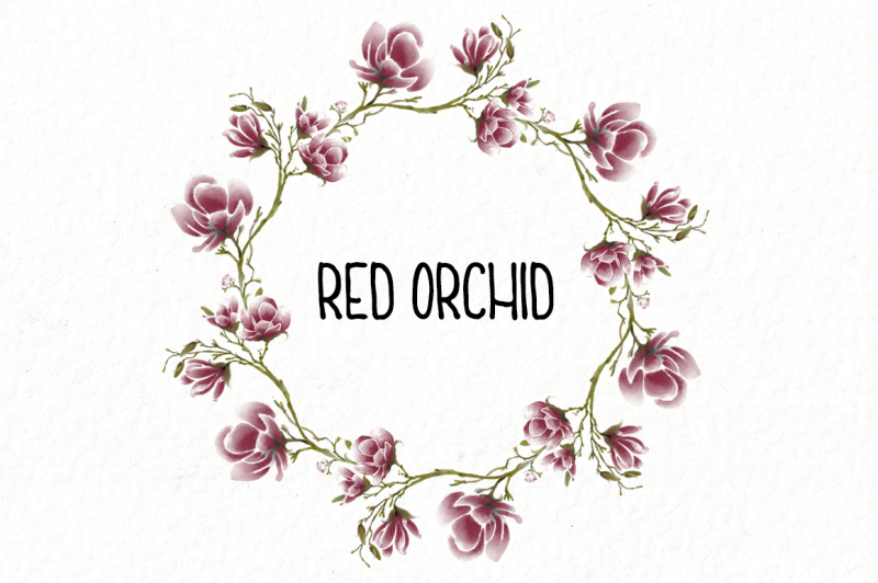 rounded-red-orchid