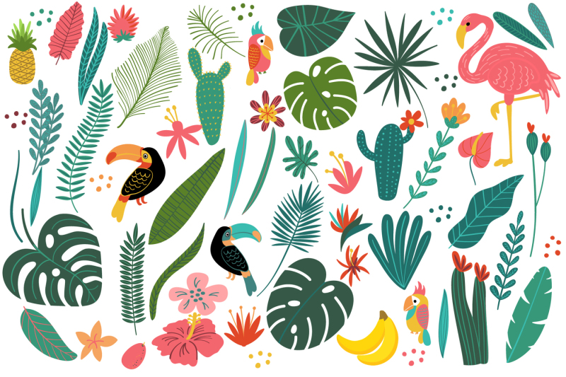 tropical-clip-art-lettering-and-patterns-set