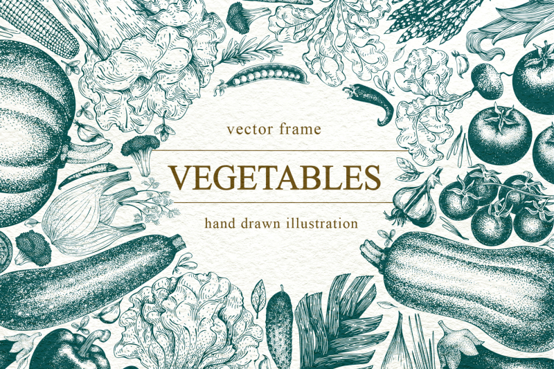 vegetable-vector-frame