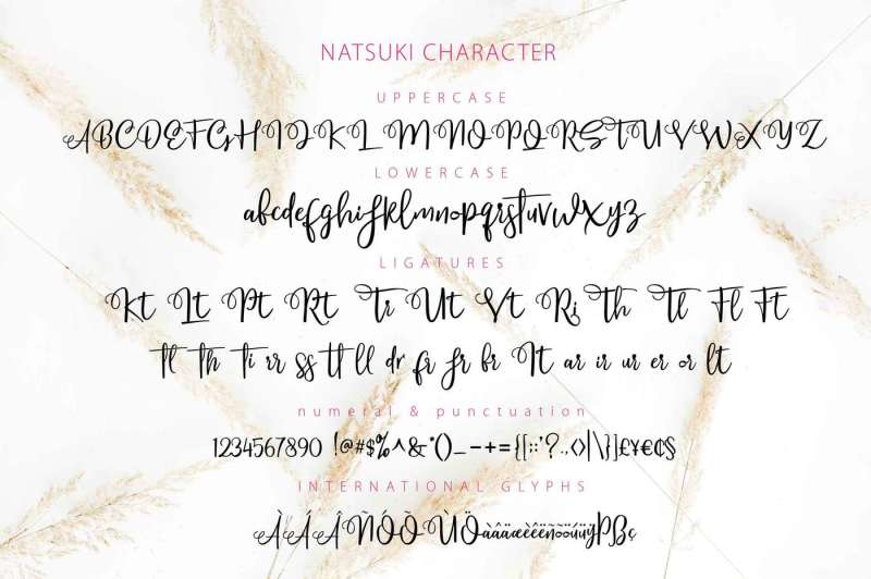 natsuki-hand-lettered-script