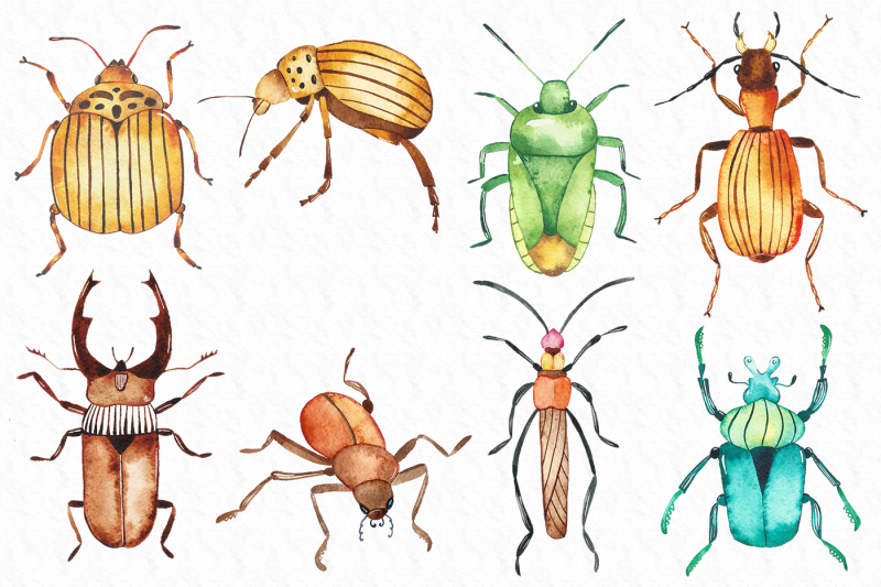 watercolor-beetles-clipart