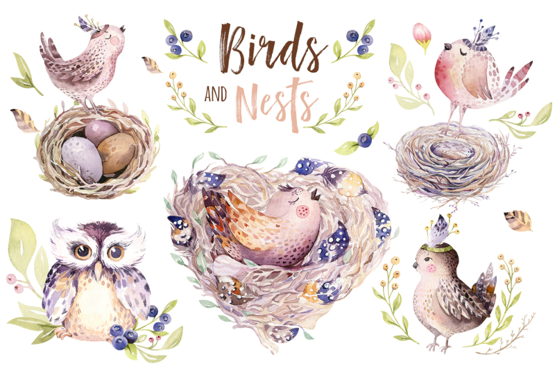 birds-and-nests-collection