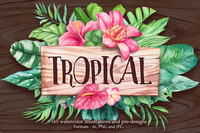 tropical-watercolor-illustrations