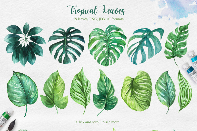 tropical-watercolor-illustrations