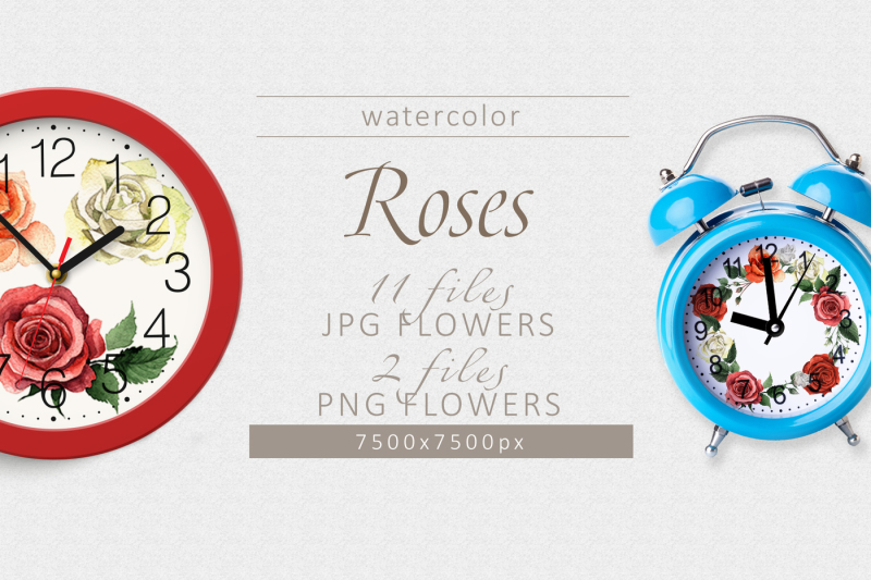 colorful-roses-png-watercolor-set
