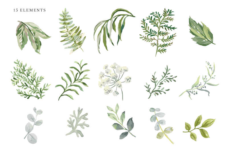 forest-greenery-vector-collection