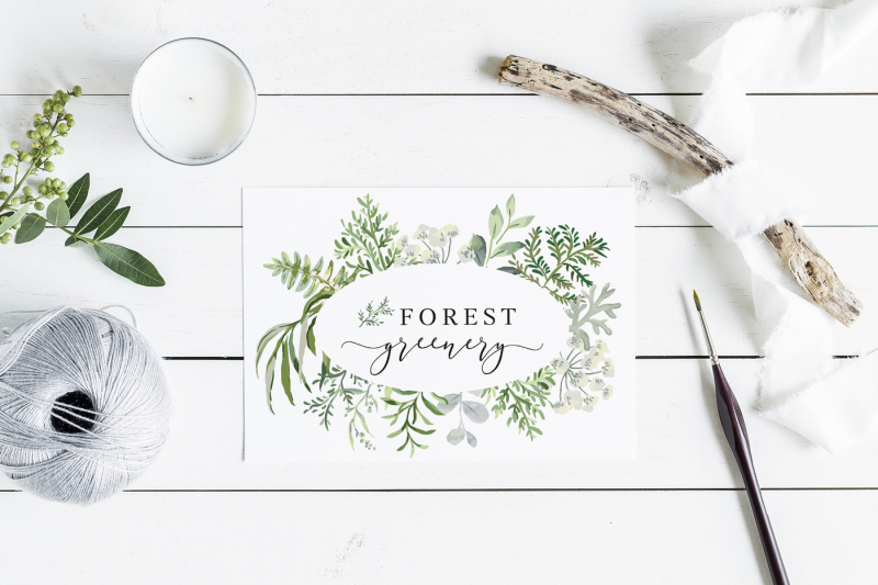forest-greenery-vector-collection