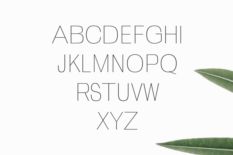 zevida-4-sans-serif-font-family