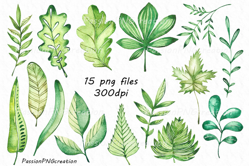 watercolor-leaves-clipart