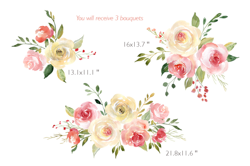 blush-watercolor-flowers-roses-collection