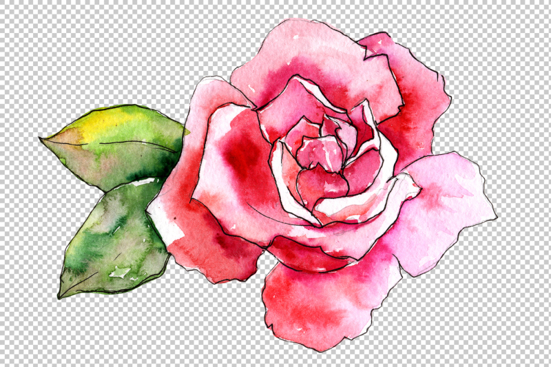 wildflower-pink-rose-png-watercolor-set