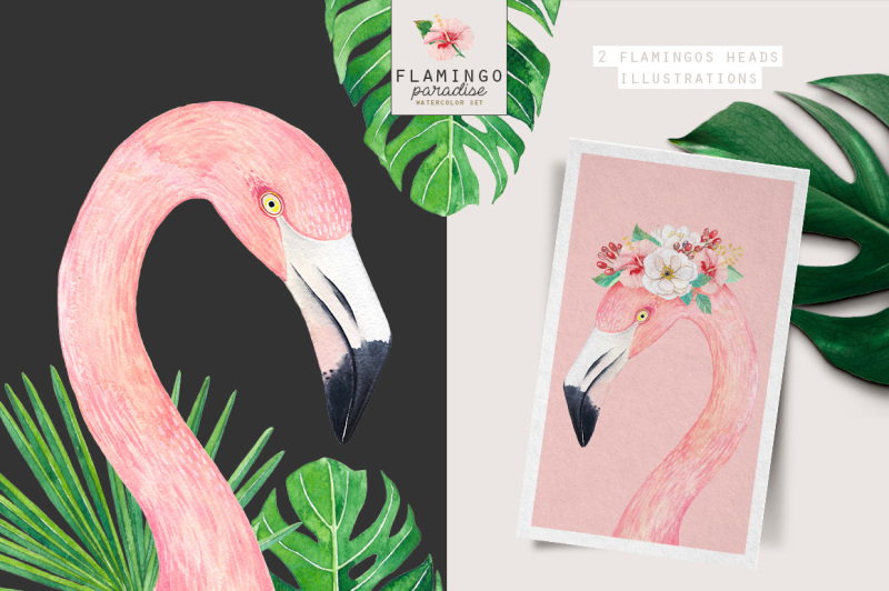 flamingo-paradise-watercolor-set