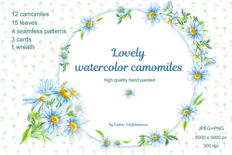lovely-watercolor-camomiles