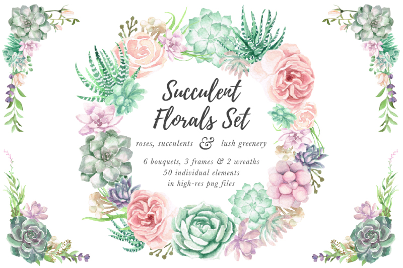 watercolor-succulents-roses-and-greenery
