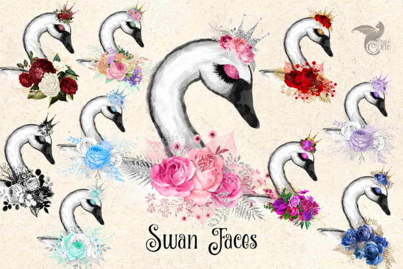 swan-faces