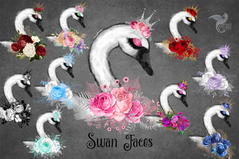 swan-faces