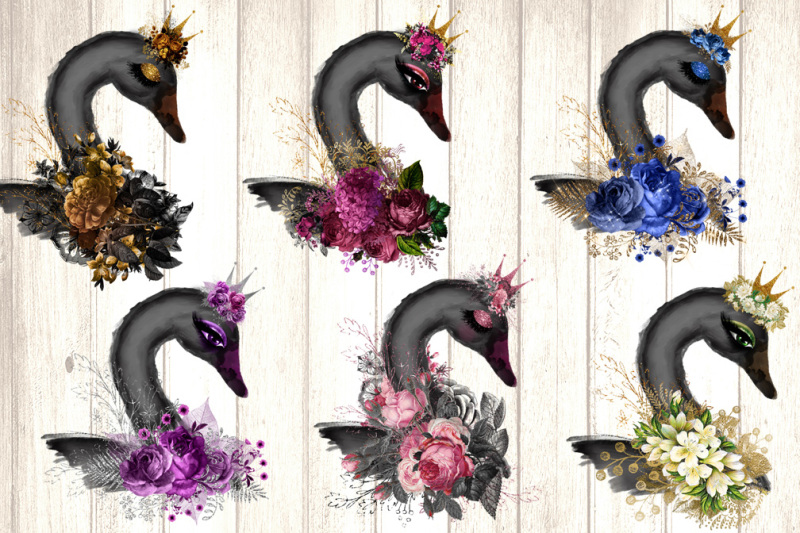 black-swans-clipart