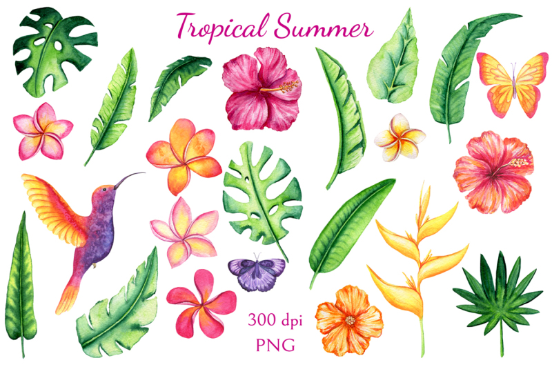 tropical-summer