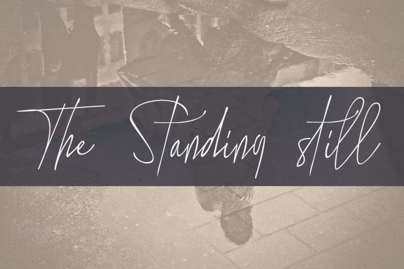 the-standing-still