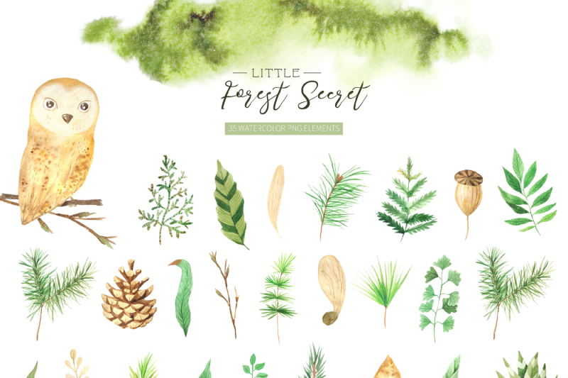 watercolor-forest-graphic-set