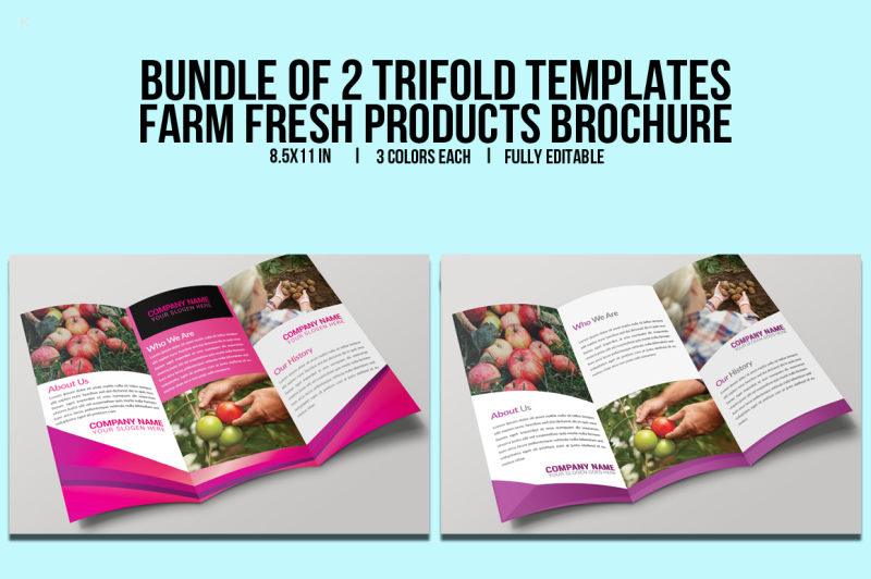 bundle-of-2-brochure-templates