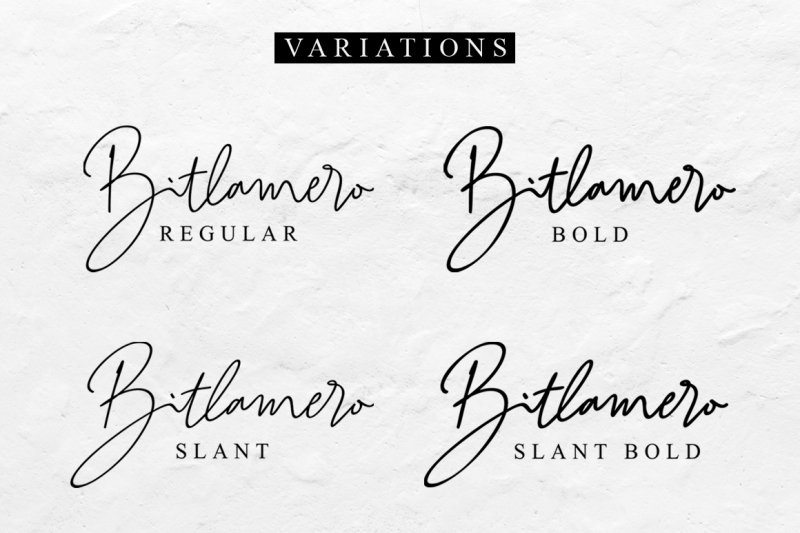 4-style-font-bitlamero-script