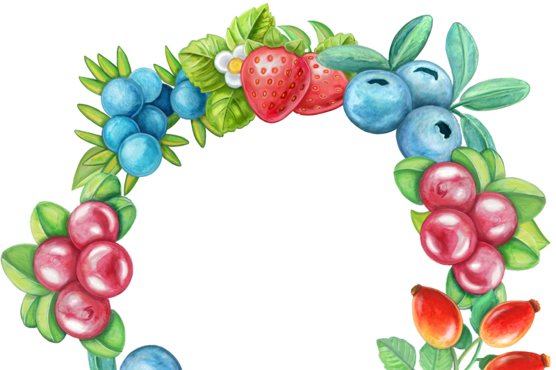 watercolor-berries-and-leaves