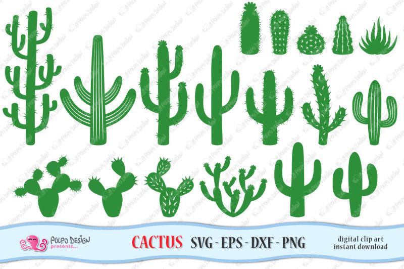 cactus-svg