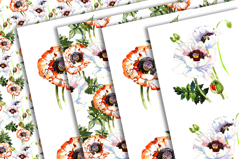white-poppies-png-watercolor-set