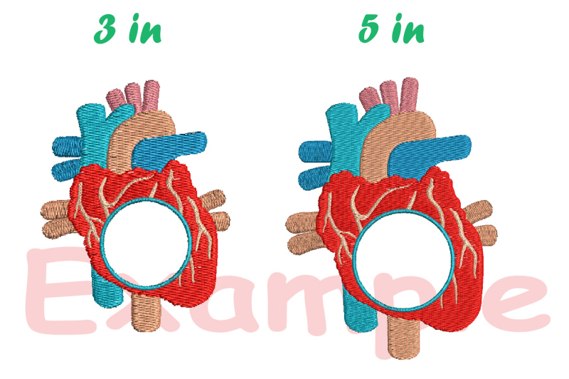 heart-circle-split-embroidery-design-science-anatomy-frame-227b