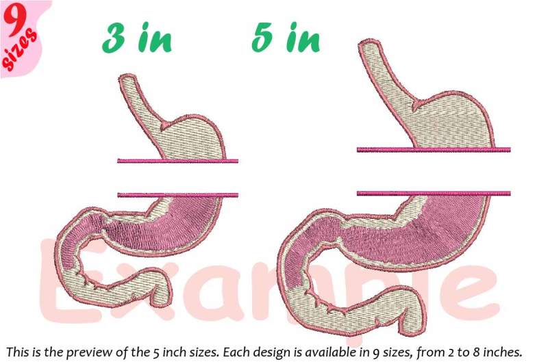 stomach-circle-split-embroidery-design-science-anatomy-frame-228b