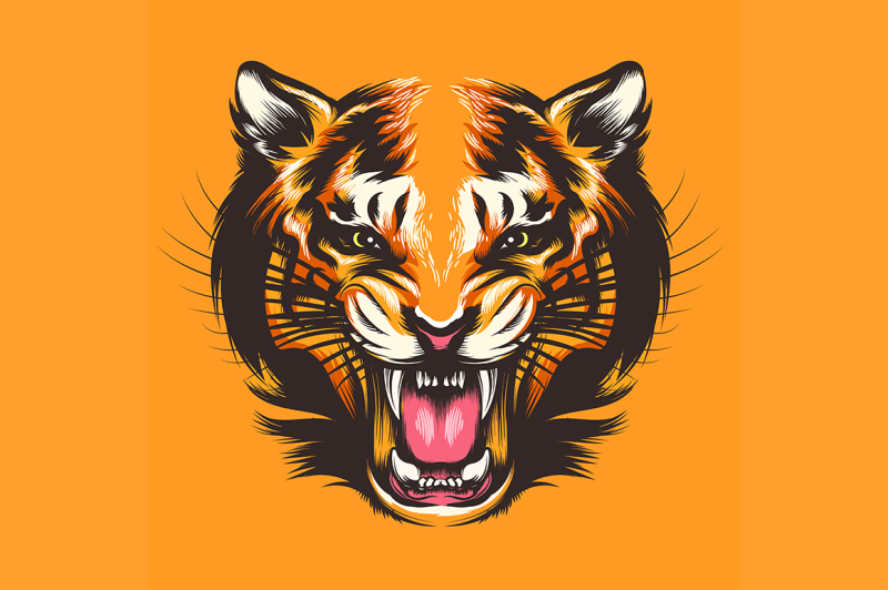 colorful-tiger-face