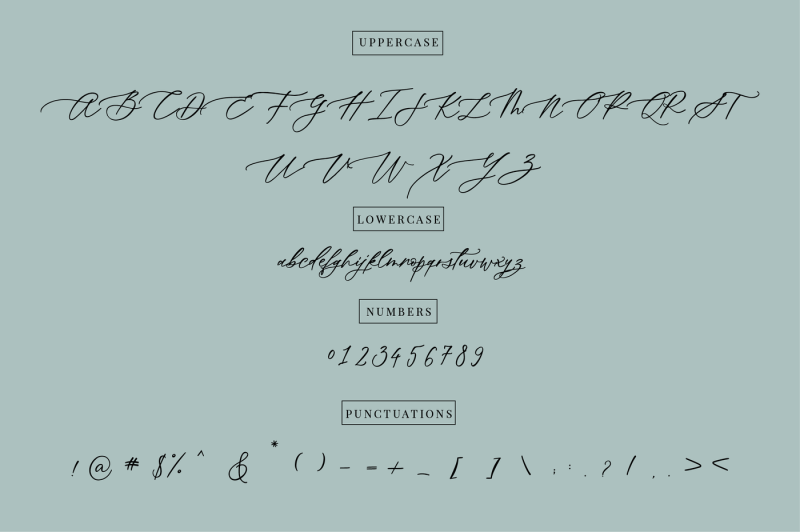 oh-spring-calligraphy-font