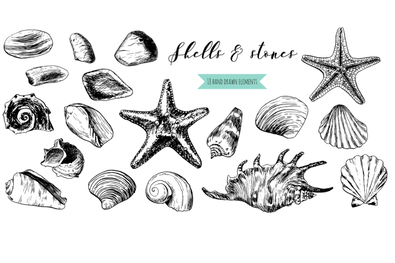 seashells-amp-stones-set
