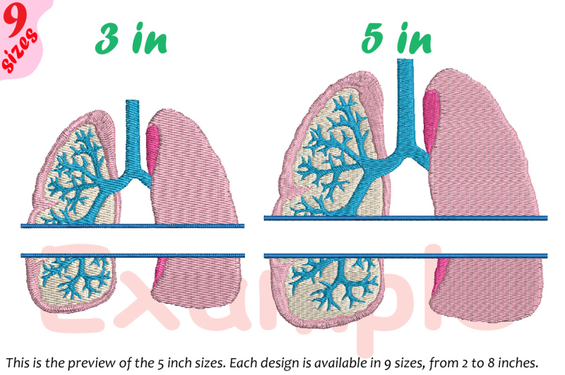 lungs-split-and-circle-embroidery-design-organs-anatomy-frame-231b